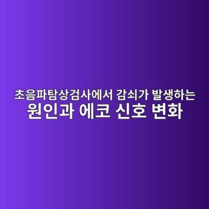 초음파탐상검사에서 감쇠가 발생하는 원인과 에코 신호 변화 썸네일